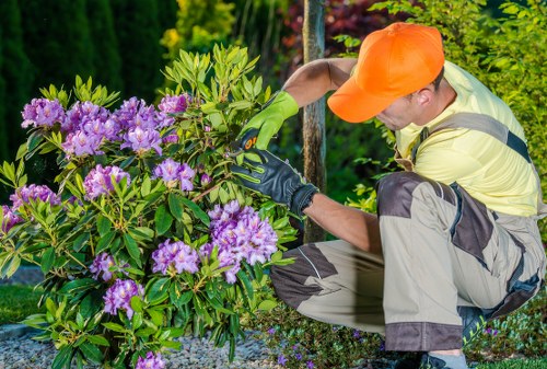 Tree surgeons reviewing a formal complaints procedure document