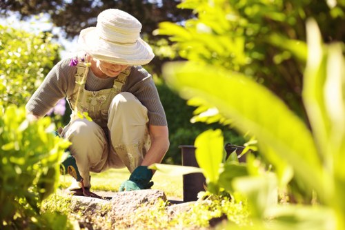 A professional hedge cutting service in a Kenton residential garden
