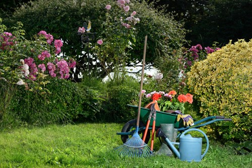 Local hedge maintenance for a property in Kenton