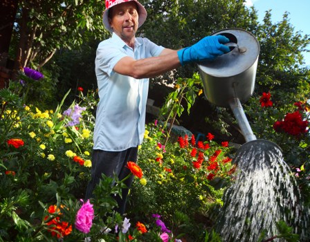Transparent pricing for tree surgeons in Kenton with clear estimates