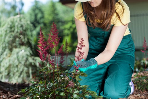 Recycling and waste separation for tree surgery materials